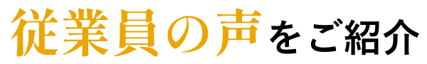 従業員の声をご紹介